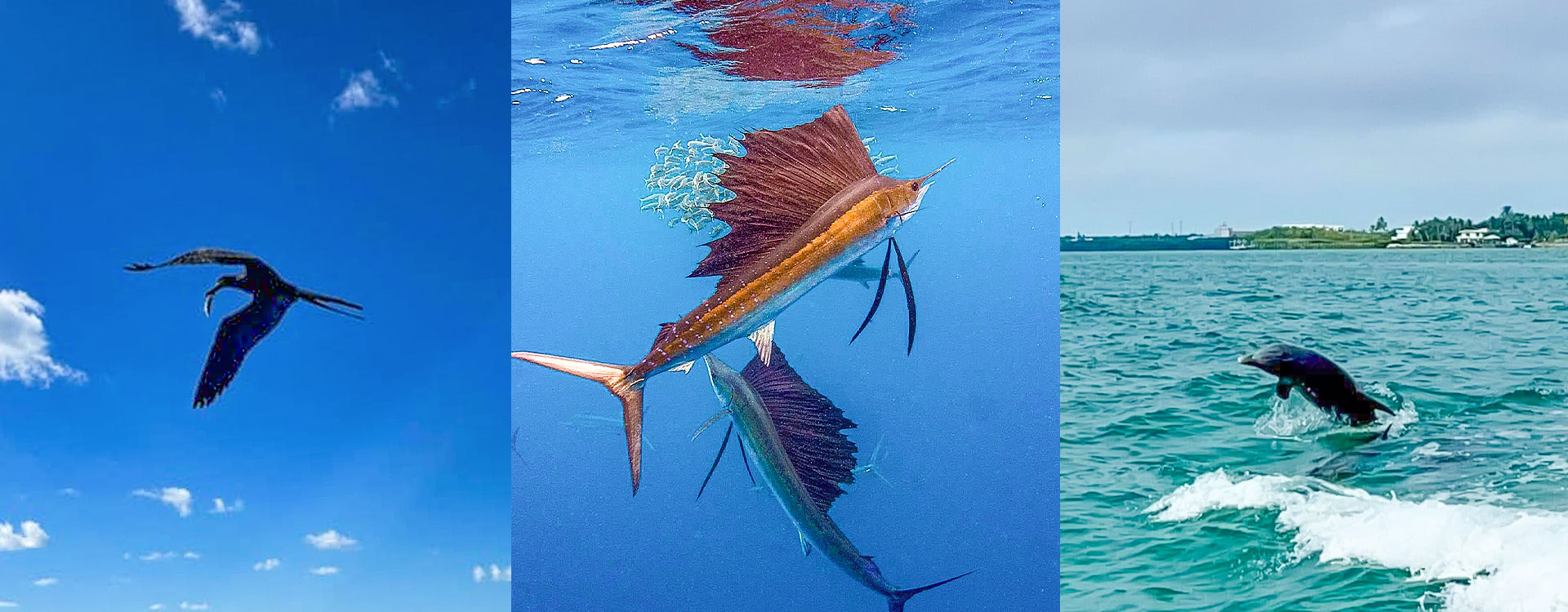 Eco tours in Key Largo with Beyond Blessed Charters