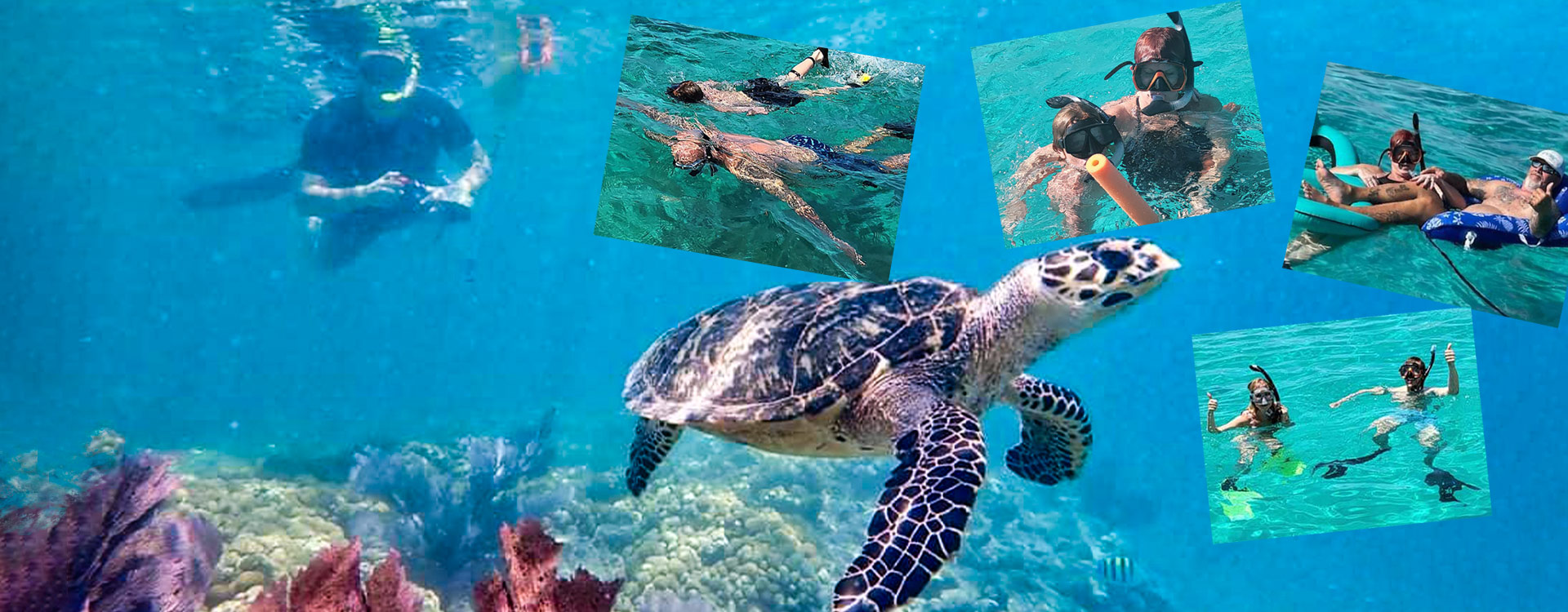 Snorkeling adventures in the Florida Keys with Beyond Blessed Charters