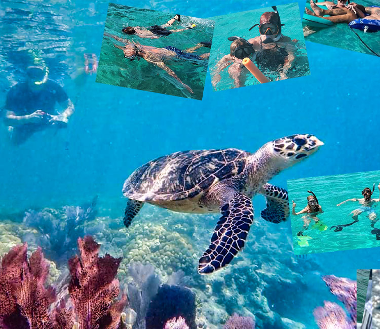 Snorkeling adventures in the Florida Keys with Beyond Blessed Charters